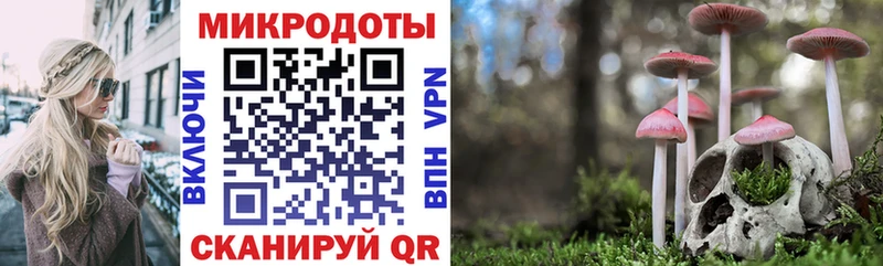 гидра ссылки где можно купить наркотик Куйбышев Псилоцибиновые грибы Magic Shrooms